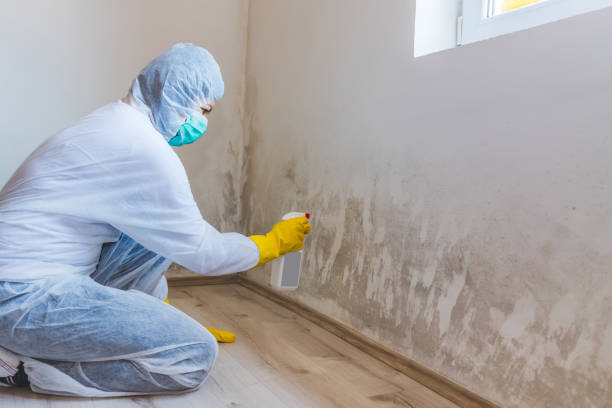 Mold Remediation specialist working in East Hanover